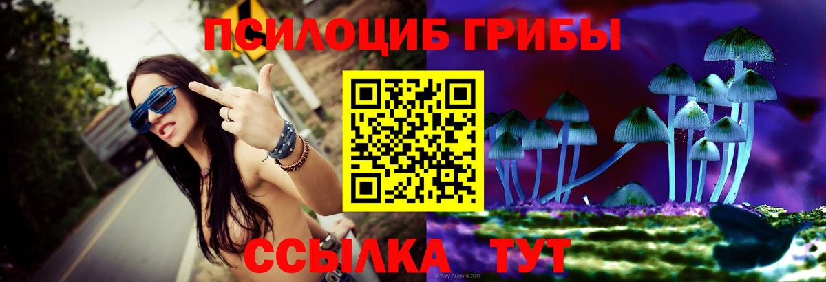 купить наркоту  Галлюциногенные грибы GOLDEN TEACHER  Вход с VPN  Люберцы 